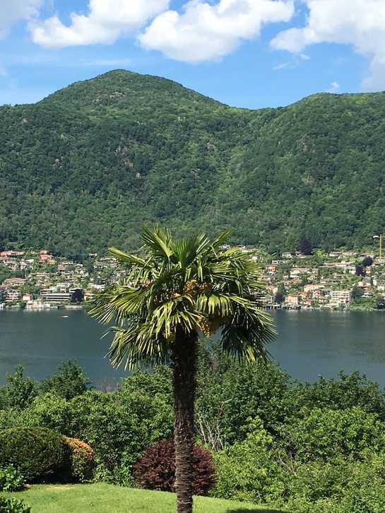 Traumhafte Ferienwohnung am Luganersee mit Seeblick IT 21050 Cuasso al Monte VA