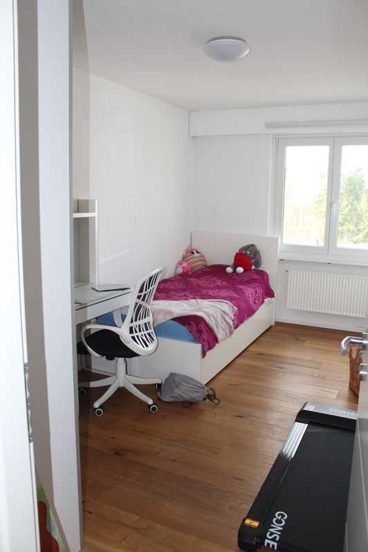 Stilvolle 4.5-Zimmer-Wohnung in Widnau, Rheintal