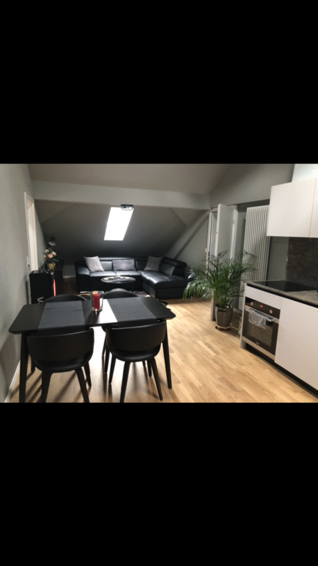 Traumhafte 2,5 Zimmer Wohnung in Bauma, ZH