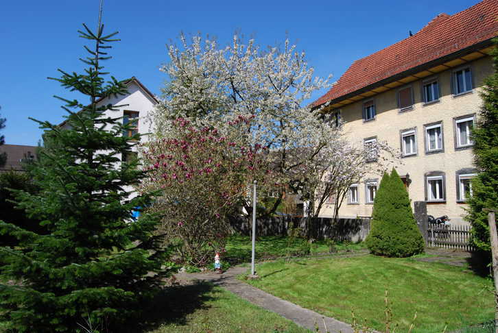 Ruhige 3-Zimmerwohnung im Zentrum von Endingen 5304 Endingen