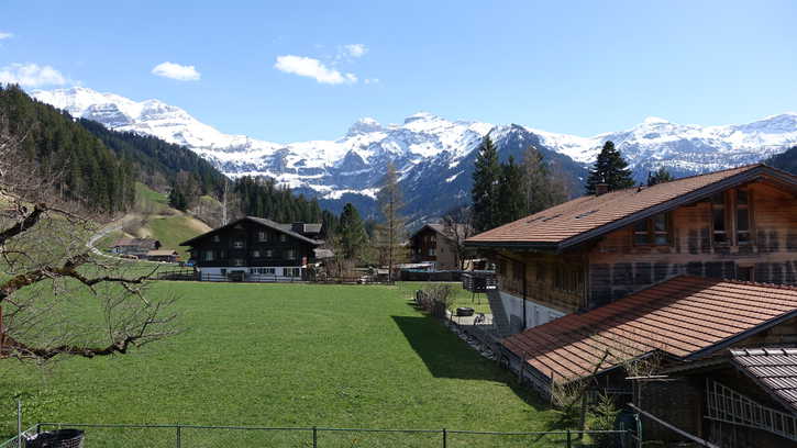 Studio mit Bergblick in Lenk zu vermieten