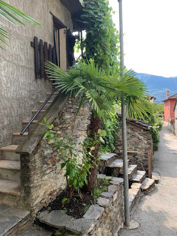 Charmante 2.5-Zimmer-Wohnung in Sementina, Tessin   6514 Sementina