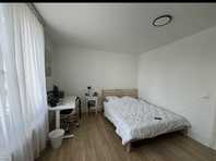 Subrent One Room In Fully Furnished Appartment